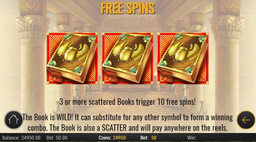 Book of Dead free spins rule