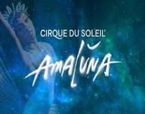 Cirque Du Soleil Amaluna