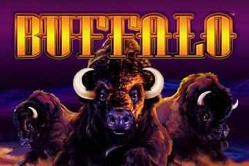 Buffalo Slot